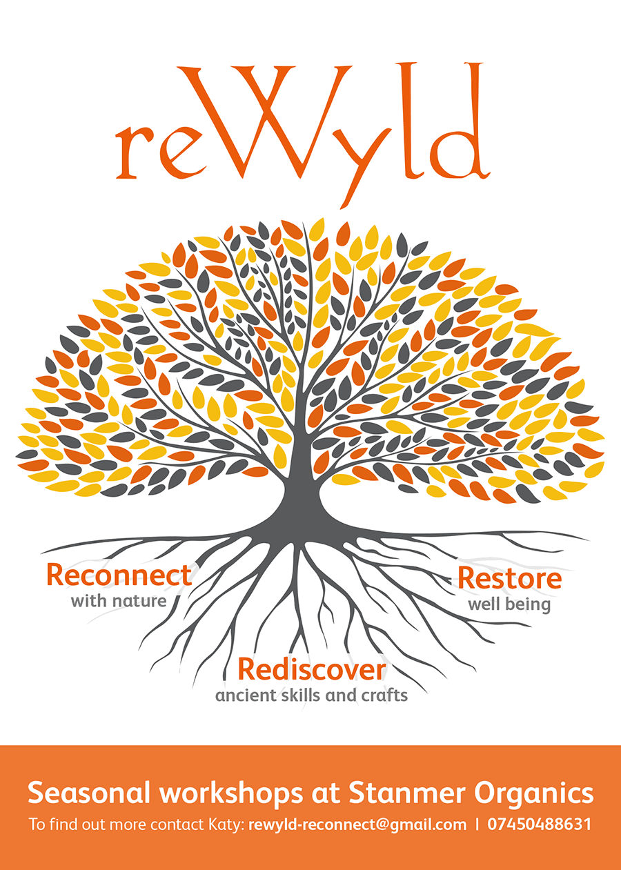 rwcreate | ReWyld flyer